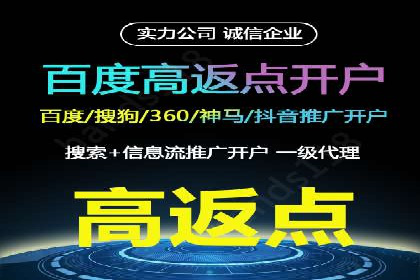 某电商企业如何利用百度搜索推广提升销售额